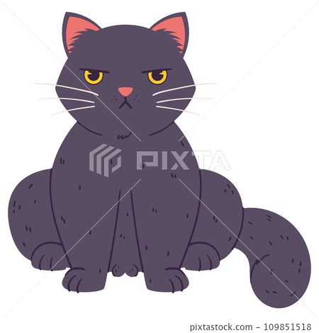 A disgruntled cat sits. Grumpy Fluffy cat black color 109851518