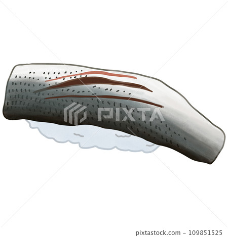 Sushi raw fish Sushi raw fish 109851525