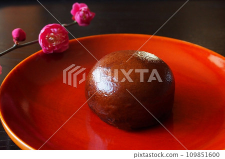 Karinto manju and plum blossoms 109851600