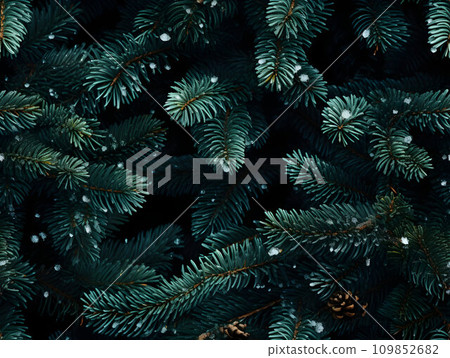Fir branches with pine cones, detailed botanical illustration, dark, seamless pattern 109852682