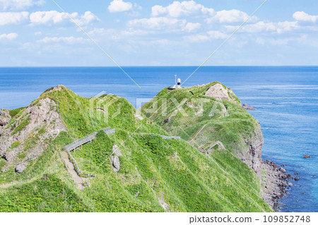 Shakotan Town, Hokkaido, famous tourist attraction, Cape Kamui in summer with beautiful greenery 109852748