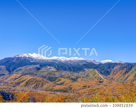 乘鞍高原的秋天(2023) 乘鞍高原的秋天(2023) 109852839