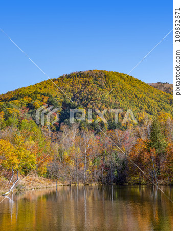 Norikura Highlands in autumn (2023) Norikura Highlands in autumn (2023) 109852871