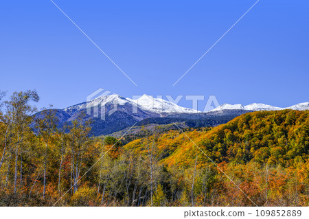 乘鞍高原的秋天(2023) 乘鞍高原的秋天(2023) 109852889