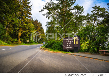 Entrance sign of Redwood National and State Parks in California, USA Entrance sign of Redwood National and State Parks in California, USA 109853016