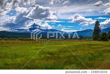 Mount Washington in Oregon with a vibrant green field and wooden fence 109853038