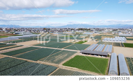 日本農民 Fukaya Negi 田野無人機空拍 109853236