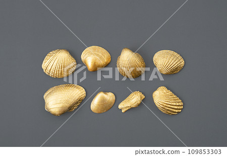 Golden shells arranging on grey. 109853303