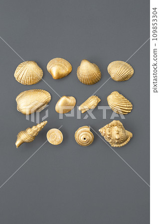 Golden shells arranging on grey. 109853304