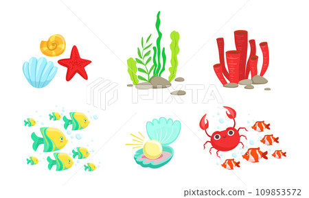 Underwater World Elements Set, Tropical Fishes, Algae, Corals, Crabs, Sea Shell Vector Illustration 109853572
