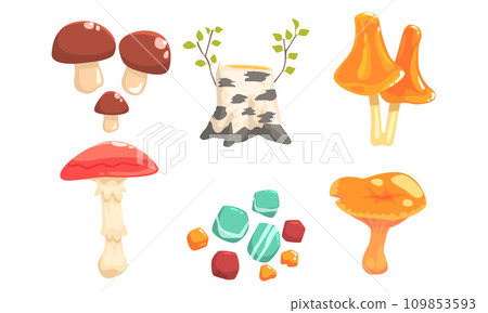 Nature Forest Landscape Elements Set, Plants, Stones, Birch Stump, Mushrooms Vector Illustration 109853593