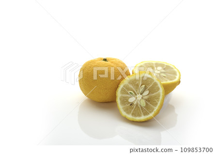 Yuzu (white background) Yuzu (white background) 109853700