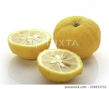 Yuzu (white background) Yuzu (white background) 109853732