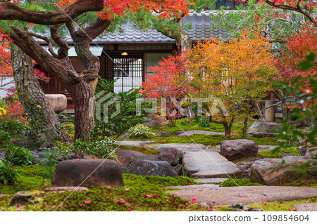 秋天的舊林家宅邸和庭園（愛知縣一宮市） 109854604