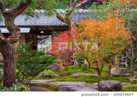 秋天的舊林家宅邸和庭園（愛知縣一宮市） 109854607