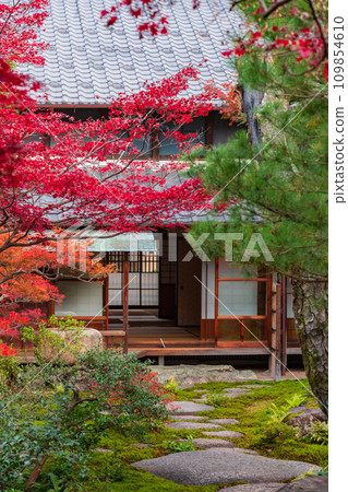 Former Hayashi family residence and garden in autumn (Ichinomiya City, Aichi Prefecture) 109854610