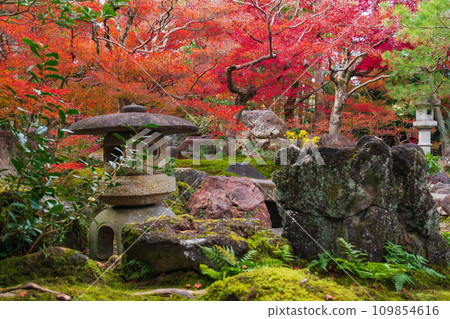 秋天的舊林家宅邸和庭園(愛知縣一宮市) 秋天的舊林家宅邸和庭園(愛知縣一宮市) 109854616