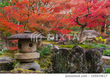 Former Hayashi family residence and garden in autumn (Ichinomiya City, Aichi Prefecture) 109854617
