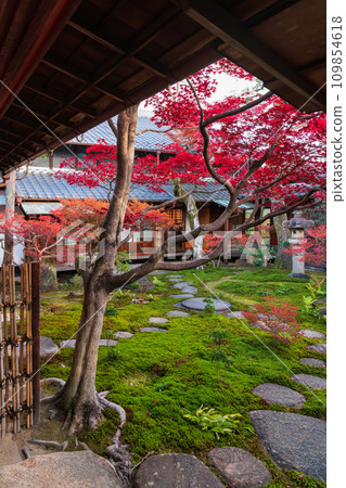 Former Hayashi family residence and garden in autumn (Ichinomiya City, Aichi Prefecture) 109854618