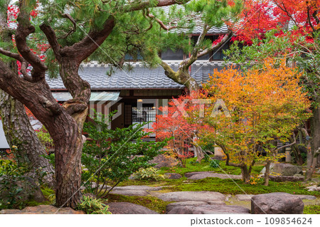 秋天的舊林家宅邸和庭園（愛知縣一宮市） 109854624