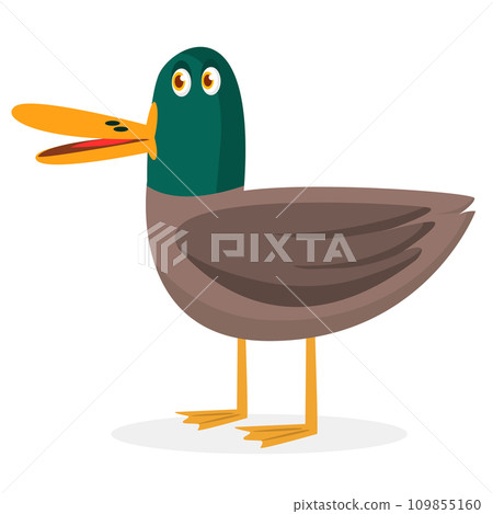 Cartoon cute duck bird. Farm bird illustration Cartoon cute duck bird. Farm bird illustration 109855160