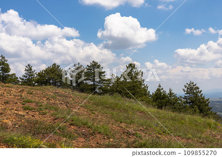 View of trees, meadow and amazing blue cloudy sky at Divcibare mountain in Serbia View of trees, meadow and amazing blue cloudy sky at Divcibare mountain in Serbia 109855270