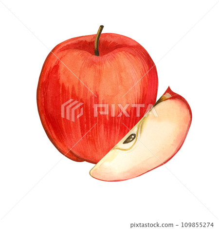 Watercolor composition. A whole red apple and an apple slice with seeds, hand-painted with watercolors. Suitable for printing on fabric and paper, for decorating kitchen utensils, dishes, textiles. Watercolor composition. A whole red apple and an apple slice with seeds, hand-painted with watercolors. Suitable for printing on fabric and paper, for decorating kitchen utensils, dishes, textiles. 109855274