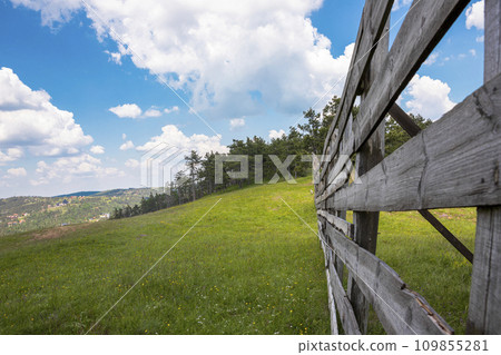 View of the wooden fence, meadow and amazing blue cloudy sky 109855281