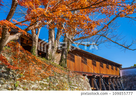 Wakayama City, Wakayama Castle's Nishinomaru Garden Bridge Corridor 109855777