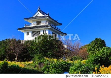 [Saga Prefecture] Takezaki Castle on a clear day 109855837