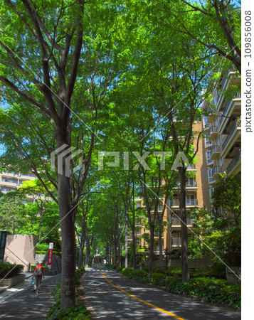 Luxury apartment in Hiroo, surrounded by lush greenery 109856008