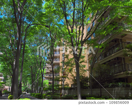 Luxury apartment in Hiroo, surrounded by lush greenery 109856009