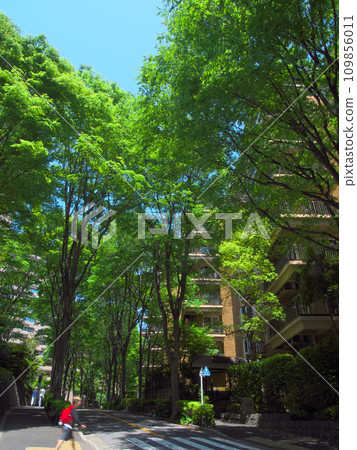 Luxury apartment in Hiroo, surrounded by lush greenery 109856011