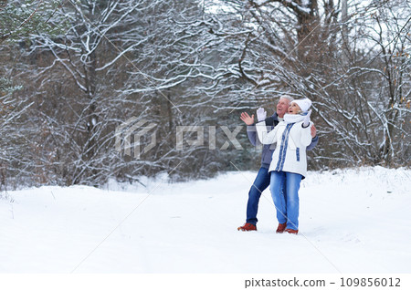 Happy senior couple at snowy winter park 109856012
