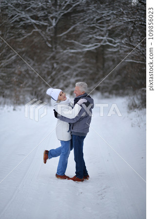 Happy senior couple at snowy winter park 109856023