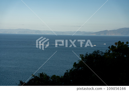 Sakura shrimp fishing fleet sailing through Suruga Bay, Shizuoka Prefecture 109856166