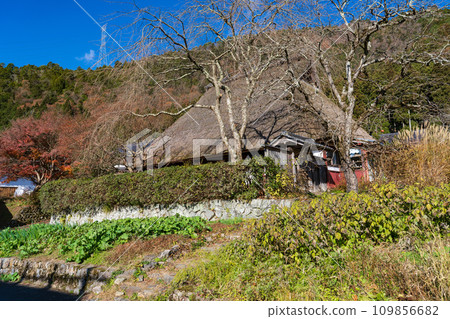 A thatched roof house in Miyama that shines against the blue sky in late autumn, Nantan City, Kyoto Prefecture A thatched roof house in Miyama that shines against the blue sky in late autumn, Nantan City, Kyoto Prefecture 109856682