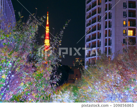 Illumination of Roppongi Keiryakaka Street and Tokyo Tower Illumination of Roppongi Keiryakaka Street and Tokyo Tower 109856863
