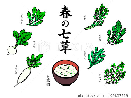 Handwritten style illustration set of Nanakusa porridge and spring Nanakusa 109857519