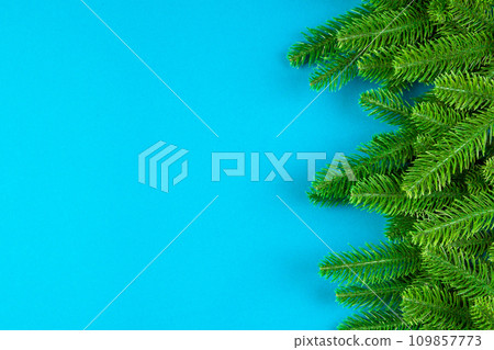 Top view of colorful background made of green fir tree branches. New year holiday concept with copy space Top view of colorful background made of green fir tree branches. New year holiday concept with copy space 109857773