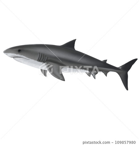 illustration of a shark swiming in the ocean 109857980