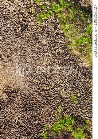 Mossy rocks on Klayer Beach, Pacitan, Indonesia, Java 109858327