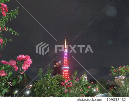 Night view of pink roses and Tokyo Tower 109858482