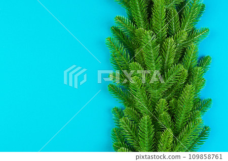 Top view of colorful background made of green fir tree branches. New year holiday concept with copy space Top view of colorful background made of green fir tree branches. New year holiday concept with copy space 109858761