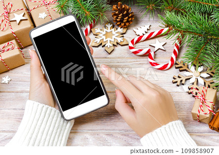 Female buyer makes order at screen of smartphone with copy space. Christmas online shopping. Woman buys presents for xmas. Winter holidays sales 109858907
