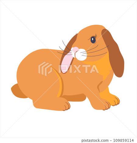 brown easter rabbit isolated on white background 109859114