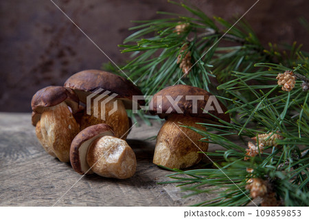 A lot of Imleria Badia or Boletus badius mushrooms commonly known as the bay bolete on vintage wooden background.. A lot of Imleria Badia or Boletus badius mushrooms commonly known as the bay bolete on vintage wooden background.. 109859853