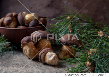 Imleria Badia or Boletus badius mushrooms commonly known as the bay bolete and clay bowl with mushrooms on vintage wooden background.. Imleria Badia or Boletus badius mushrooms commonly known as the bay bolete and clay bowl with mushrooms on vintage wooden background.. 109859855