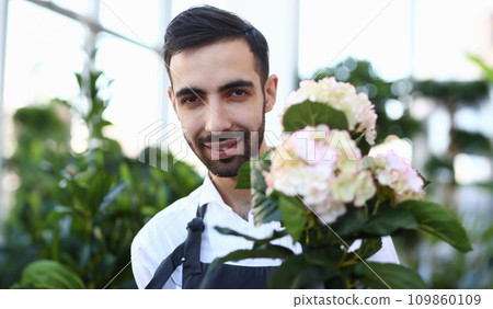 Bearded Male Florist with White Blooming Hydrangea 109860109