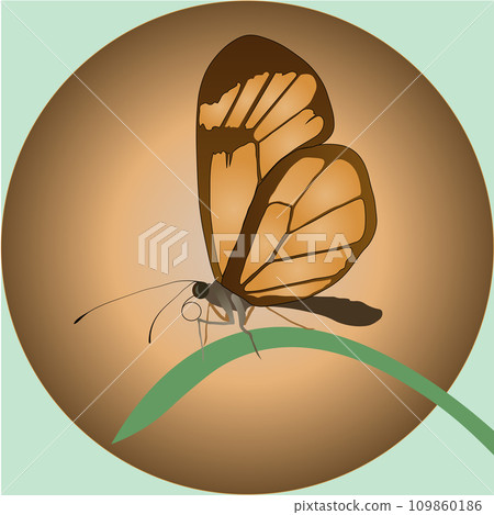 Butterfly on a blade of grass 109860186